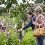 Visitors in the walled rose garden at Mottisfont, Hampshire